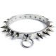 Steel dog collar with spikes - unisex