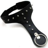 Unique studded collar