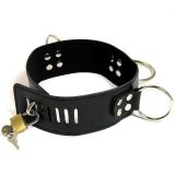 A wide black leather collar