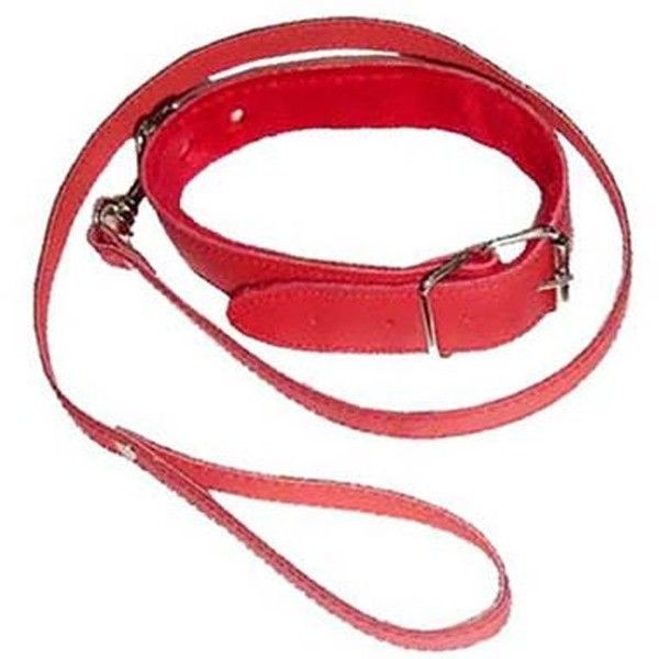 Red collar with leash. Артикул: IXI13877
