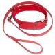 Red collar with leash