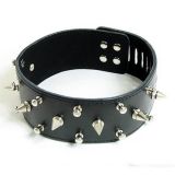 Black wide leather collar