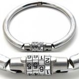 Round metal collar with combination lock