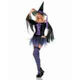 Carnival costume Elegant witch
