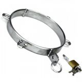 Collar stainless steel D-rings