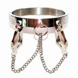 Unisex Luxury Stainless Steel Heavy Duty Collar with Japanese Clover Clamps