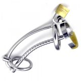 Asylum Locking Chastity Cage with a Removable Head Ring   