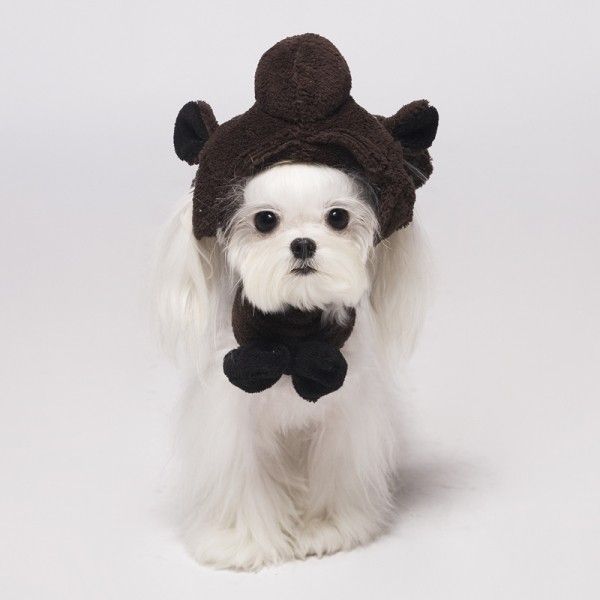 Plush hat and butterfly, set for dogs. Артикул: IXI28951