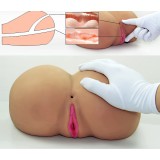 ����� , ������