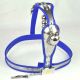 Male Fully Adjustable Model-T Stainless Steel Premium Chastity Device with Hole Cage Cover BLUE Plug