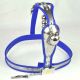 Пояс верности для мужчин Male Model-T Chastity Device Hole Cage Cover Plug Пояс верности для мужчин Male Model-T Chastity Device Hole Cage Cover Plug