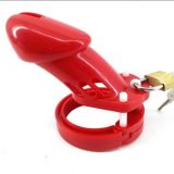 Chastity belt CB-6000 Red