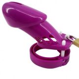 Chastity belt CB-6000 (purple)