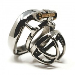      Chastity Cage ZC091