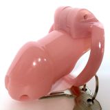 Пояс верности розовый Holy Trainer Chastity Device V2 ZC092 по оптовой цене