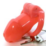    Holy Trainer Chastity Device V2 ZC092   