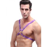 Sexy Mens Climbing harness Purple