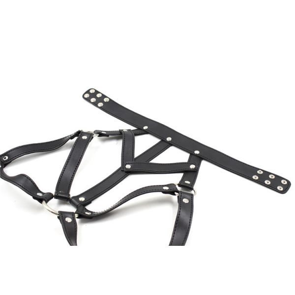 Bold BDSM kit. Артикул: IXI52016