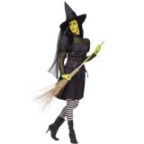 Adult Ms. Wick Witch Costume