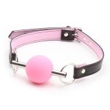 Metal Rod Silicone Ball Gags Pink