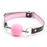        Metal Rod Silicone Ball Gags   