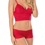 Red Woman Sexy high Waist Lace Bra Set