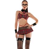 Erotic saucy schoolgirl costume