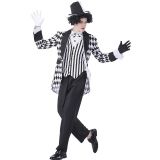 men hatter madness costume