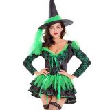 Green One Size Witch Halloween Costume