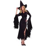 Fashion Witch Costume