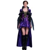 Wicked Queen Costume