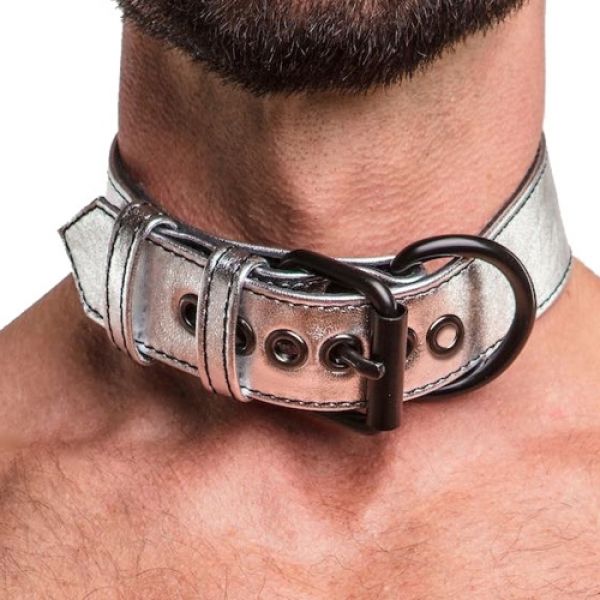 Серебристый ошейник Bondage Fetish Metallic Ышlver Pup Collar With Leash. Артикул: IXI57744
