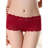 6 Colors One Size Sexy Ladies Lace Panties