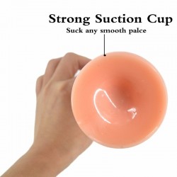 ����� , ������