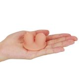 ����� , ������