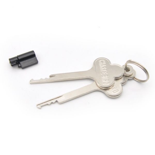 Набор ключей с серцевиной для поясов верности Built-in lock. Артикул: IXI59054