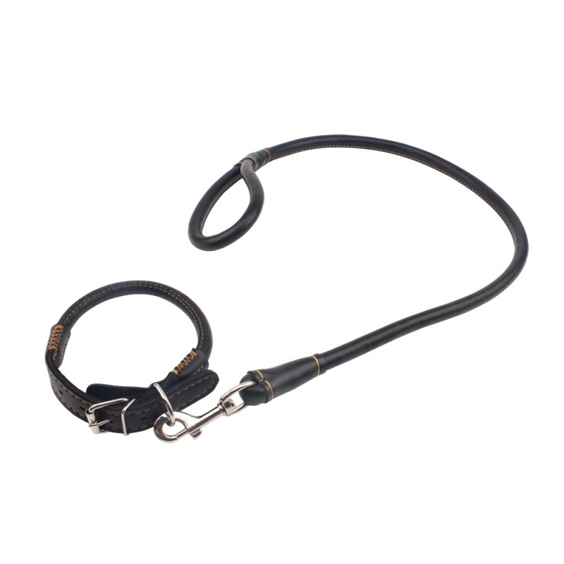 Collar with leash Sexy Slave Collar and Leash. Артикул: IXI59295