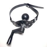 Mouth cover rotary plug ball gag