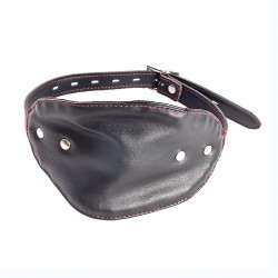 Mesh mouth plug restraint mask   
