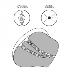 ����� , ������