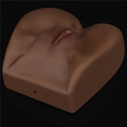 ����� , ������