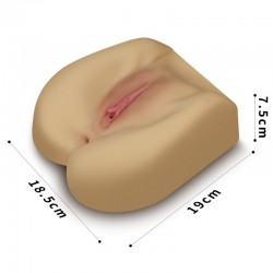 ����� , ������