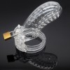 New Type Male Chastity Device with Perforated design Cage Long Black, Purple, Pink, Clear
