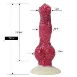 ����� , ������