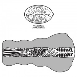 ����� , ������