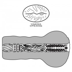 ����� , ������