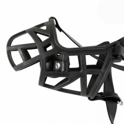 ����� , ������