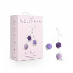 Комплект вагинальных шариков для тренировок Wellness Kegel Training Kit