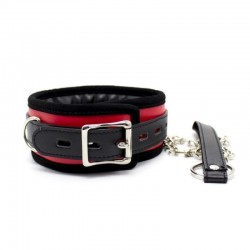  -     Premium Locking Collars