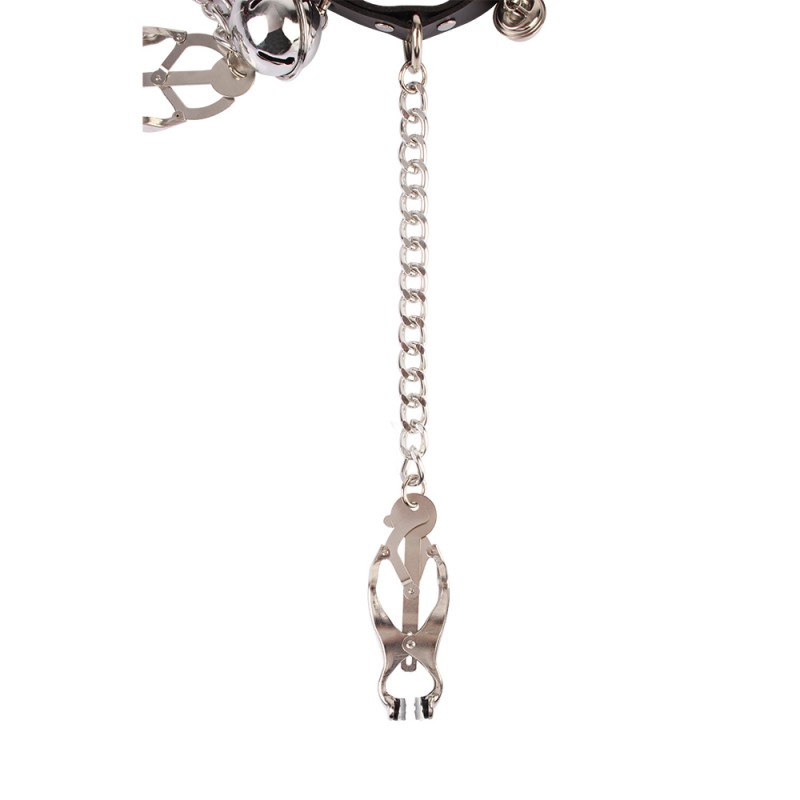 Зажимы для сосков с ошейником и цепью Master Control Collar with Nipple Clamps. Артикул: IXI61597